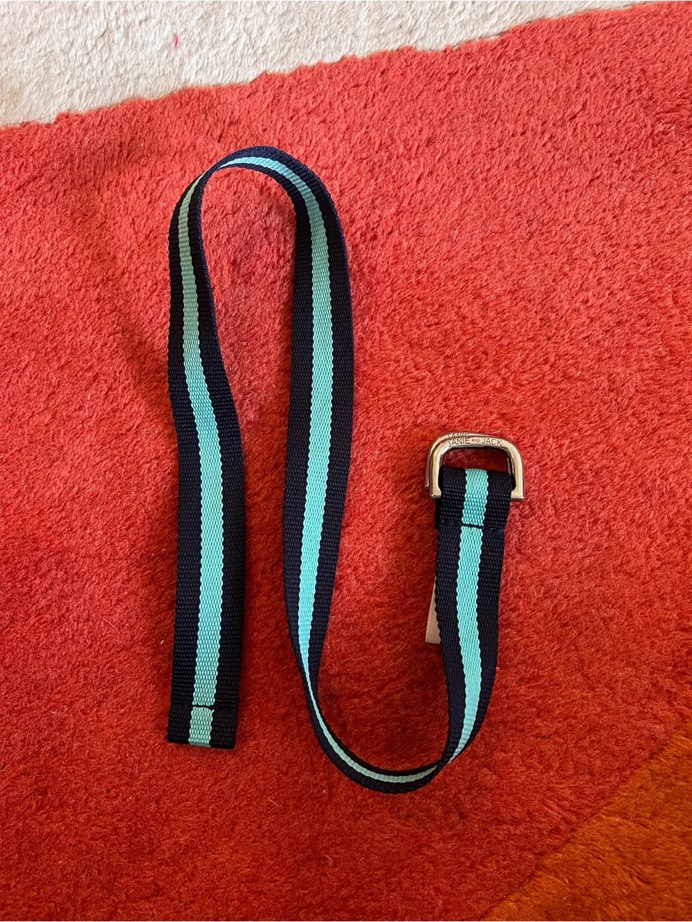 Janie and Jack Black Web Belt with Mint Stripe 2T-3